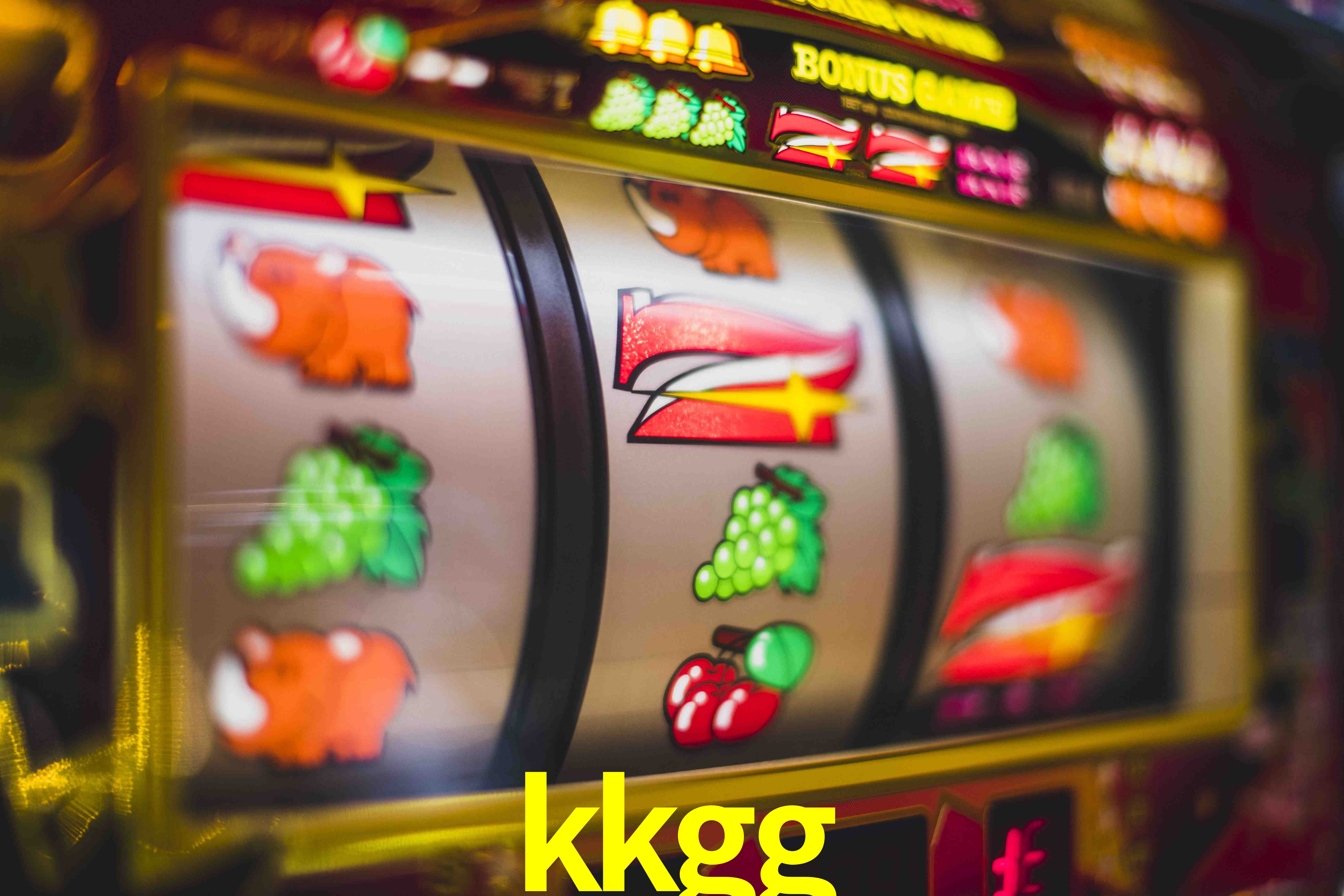 Experiência VIP kkgg